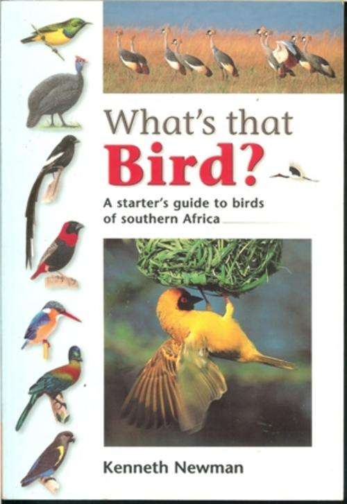 What's that Bird?-Kenneth Newman (Soft-cover)
