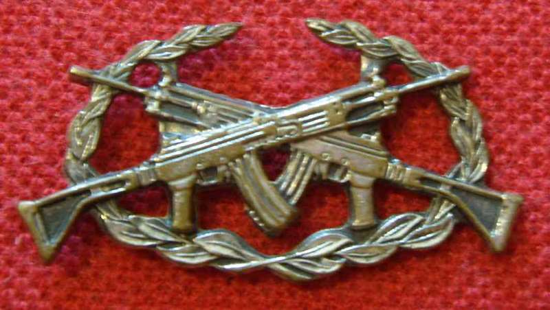 South West Africa Territory Force Shooters badge