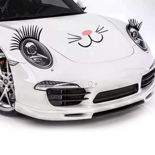 Universal Car Eyelash Set Black