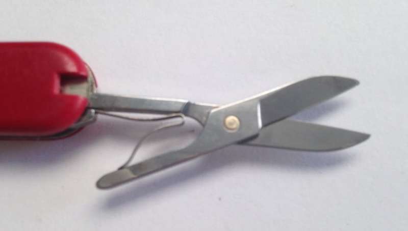Swiss Army Victorinox Pocket knife