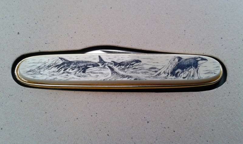 Boxed pocket knife "Tofino Canada"