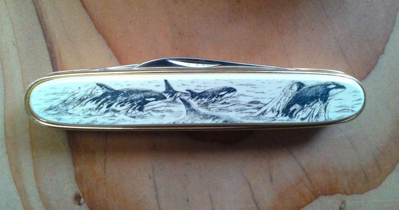 Boxed pocket knife "Tofino Canada"
