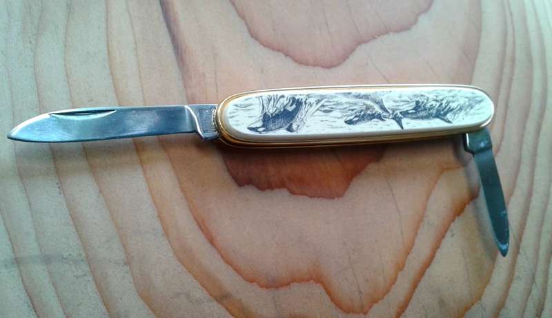 Boxed pocket knife "Tofino Canada"
