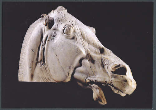 British Museum post card -- The Head of the Horse of Selene. printed in England.