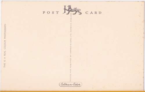 Vintage Post Card - Swans on Parade. Cotman Colour Post Card