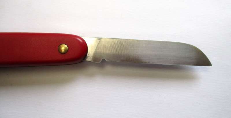 Horticultural Victorinox Swiss Army Knife -- Pruner / pruning knife / garden knife