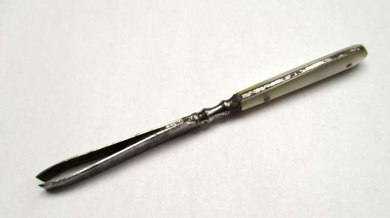 Antique, mother of pearl handled tweezers.