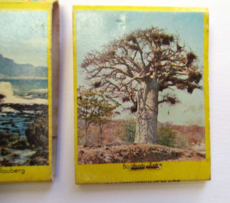 Vintage Spar Match Books / Matches - Boerebeskuit / Glamour Stockings & Canned Fruits