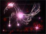 Collection of magic Ebooks