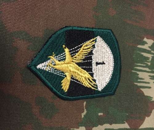 SADF - 1 Parachute battalion cloth badge