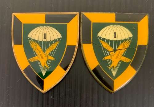 SADF 1 Parachute battalion flashes