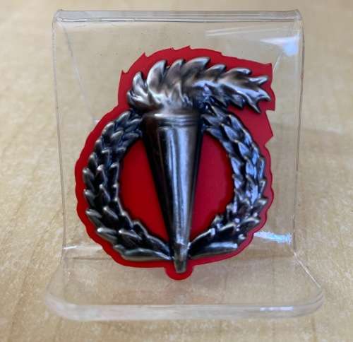 SADF Pathfinder badge full size