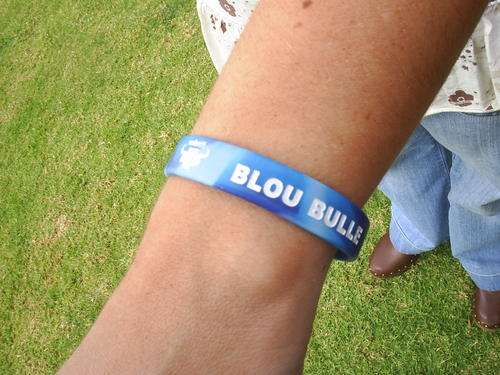 Supporter Rugby Wristbands