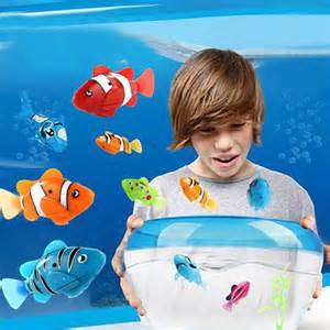 2 robo on auction fish