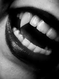 Vampire & Supernatural FICTION E-Book Collection on CD OVER 250 EBooks with CALIBRE Software for PC