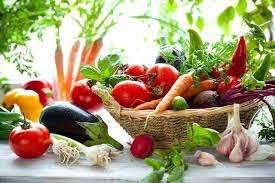 VEGAN & VEGETARIAN RECIPES Collection of 5 E-Books- 100's of Recipes *No Shipping Fee* GREAT VALUE