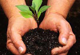 GARDENING FRUIT, VEGETABLES & FLOWERS Collection of 5 E-Books *No Shipping Fee* GREAT VALUE