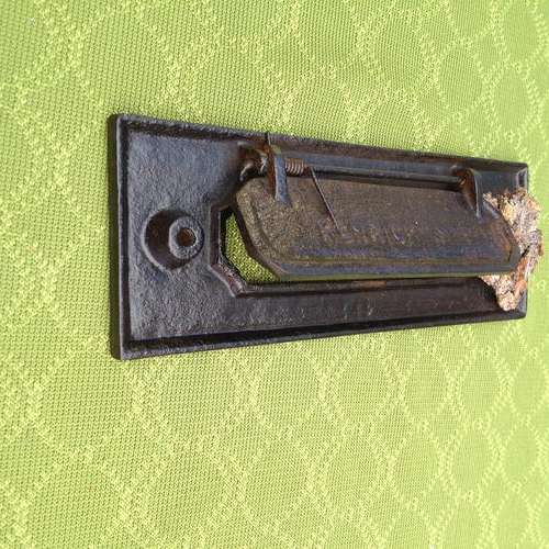 view from the side showing the spring.   The letter flap is being held open by a piece of bark for ease of viewing!