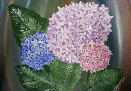 Hydrangeas (Krismisrose)- Acrylic on canvas sheet - 300mm x 420mm
