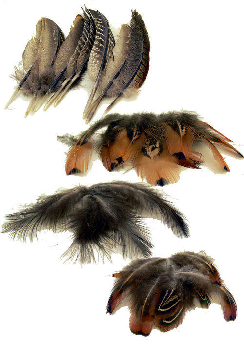 FEATHERS MYSTERY PARCEL