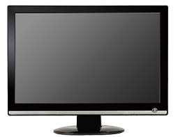 19" LCD Screen