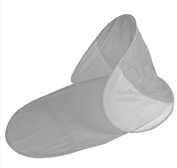 Beach shell "Tampa"