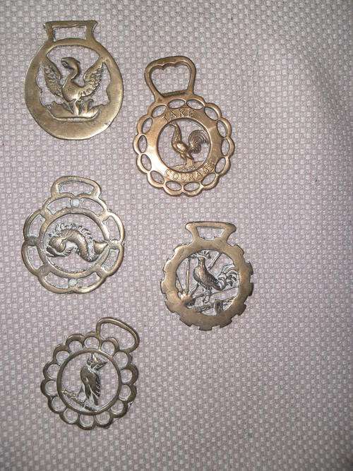 5 X Equestrian Horse brasses 1