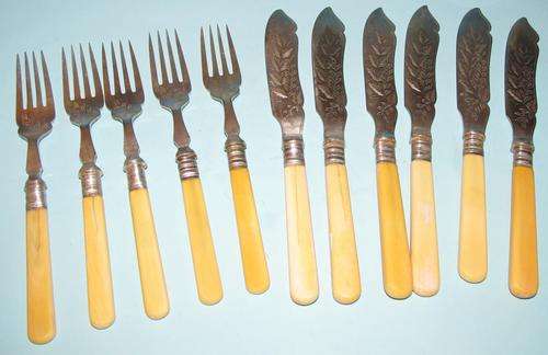 BONE HANDLED COLLARED FISH KNIVES & FORKS