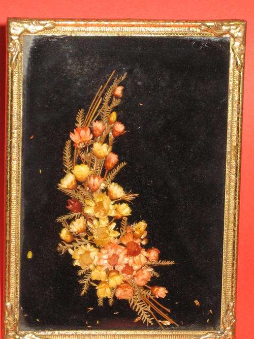 OLD FRAMED DRIED FLOWERS