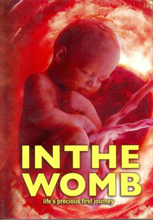 IN THE WOMB life's precious first journey