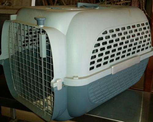 DOG/CAT CARRIER- EXCELLENT CONDITION