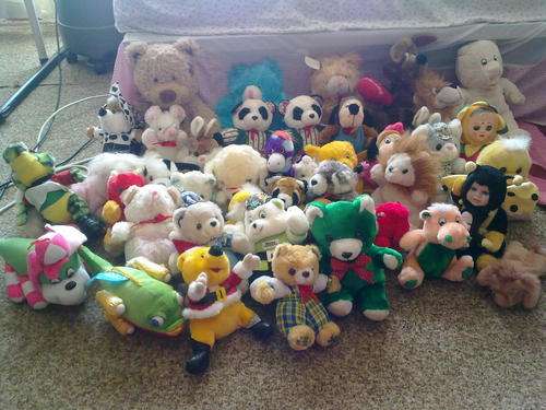 41 BEARS AS PER PIC