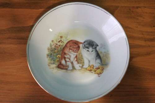 Decorative Plate with Kitten and Duckling Print (Constantia Fine China)