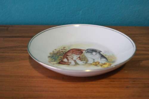 Decorative Plate with Kitten and Duckling Print (Constantia Fine China)