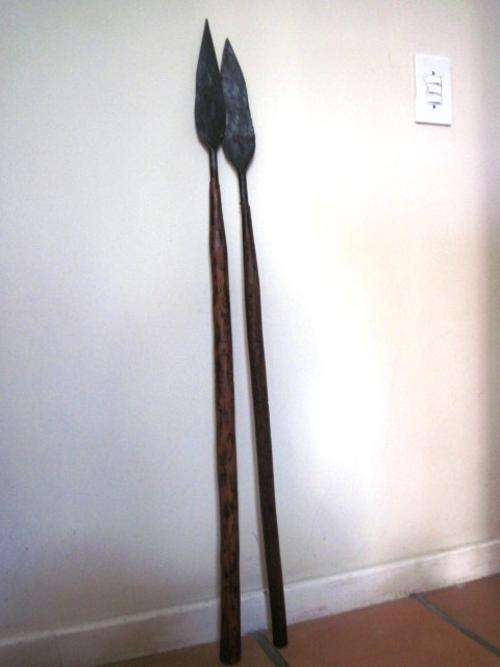 A set of Two old Zulu Stabbing Spears