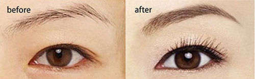 *FREE SHIPPING* Biomagic EYEBROW ENHANCER - MEN & WOMEN