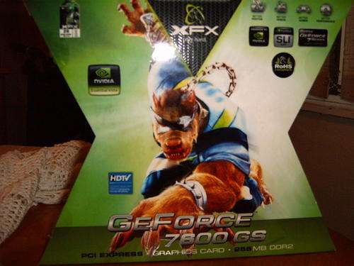 Graphics Card NVidia Geforce 7600GS