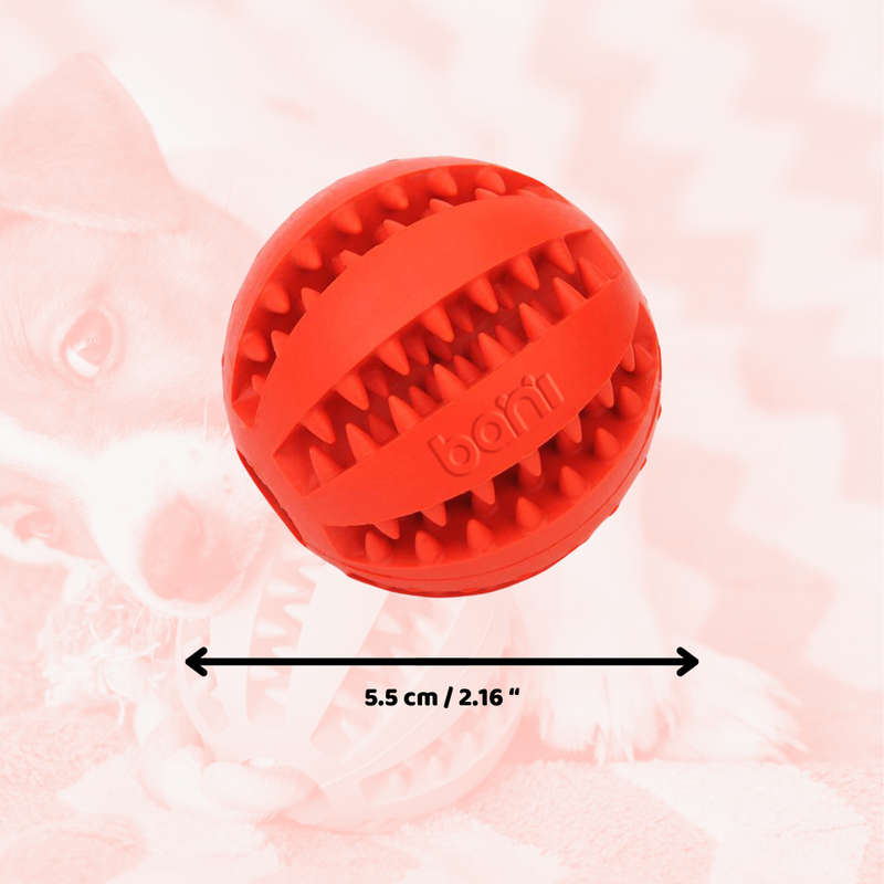 bani - Bouncy Chew Toy for Dogs