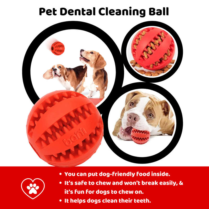 bani - Bouncy Chew Toy for Dogs