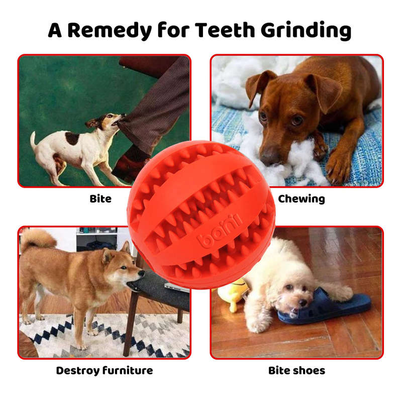 bani - Bouncy Chew Toy for Dogs