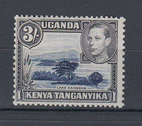 KUT-KGVI 3 SHILLING SUPERB UMM-PERF 13 X 11.75  R1060.00