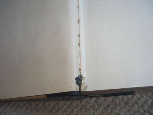 EXTREMELY RARE BOOK " ROBERTS BIRDS OF SOUTH AFRICA " LIMITED AND SIGNED NO 169/300 !!!!!