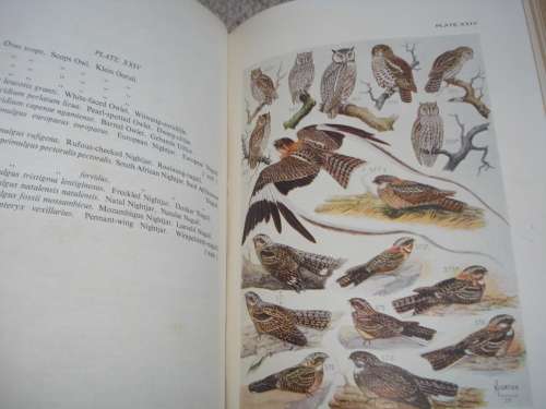 EXTREMELY RARE BOOK " ROBERTS BIRDS OF SOUTH AFRICA " LIMITED AND SIGNED NO 169/300 !!!!!