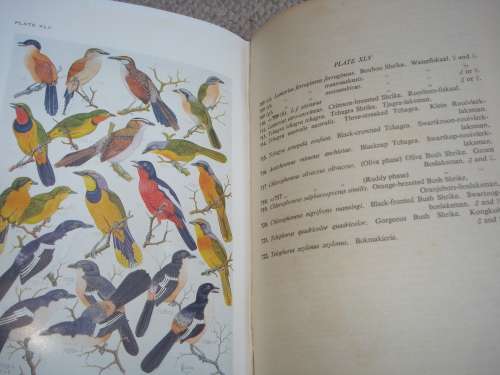 EXTREMELY RARE BOOK " ROBERTS BIRDS OF SOUTH AFRICA " LIMITED AND SIGNED NO 169/300 !!!!!
