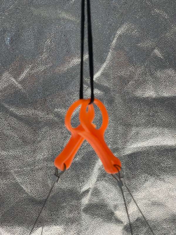 RECYCLED PLASTIC      PELI PEG    NO MORE CLOTHES STAINS-MANY MANY USES -SEE DETAILS BELOW