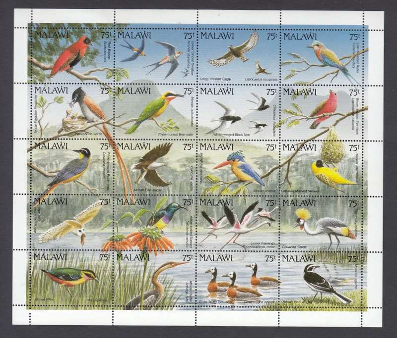 BIRDS-SCARCE FULL SHEET  55 POUNDS ++