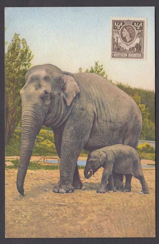 N.RHODESIA-LOVELY CLEAN  QEII  CARD