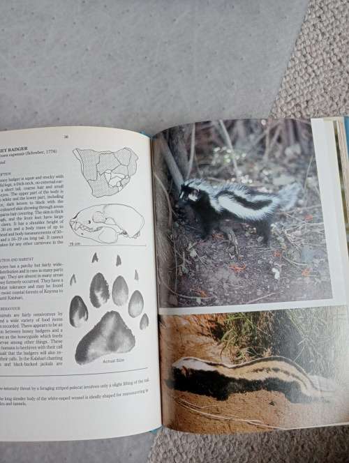 SCARCE AFRICANA-PREDATORS OF SOUTHERN AFRICA SIGNED BY ALL 3 CONTRIBUTORS !!!