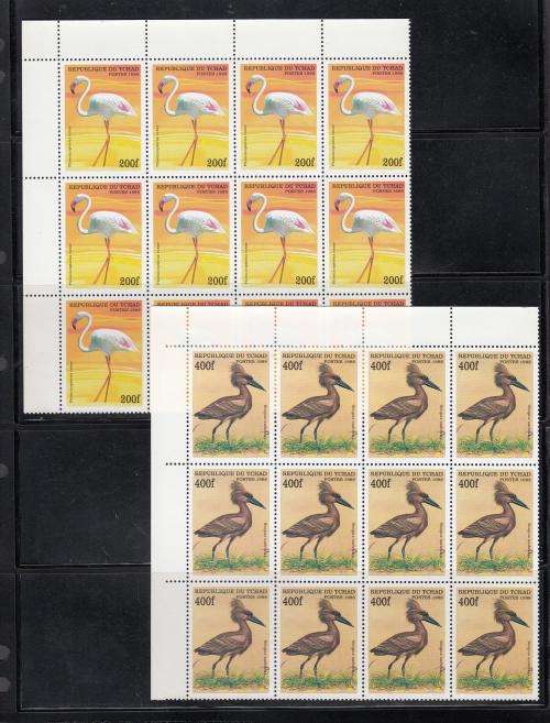 BIRDS-SOME LOVELY LOTS THIS FRIDAY-SCARCE PANES !!!