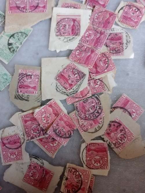 COGH-A STUNNING LOT FOR TOWN HUNTERS-MOST ARE CLEAR ON PIECE